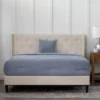 Isabelle Cream Upholstered Twin Wingback Bed