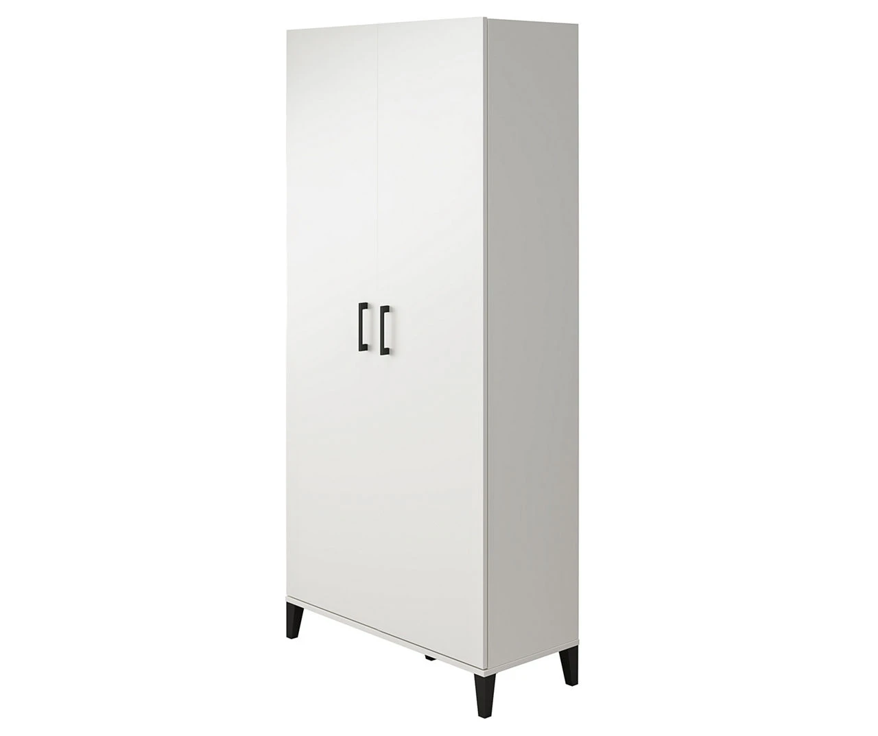 Systembuild Amplus 2-Door Storage Cabinet 4 Systembuild Amplus 2-Door Storage Cabinet - Image 4